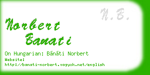 norbert banati business card